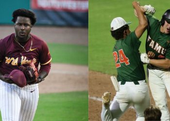 SWAC baseball tournament to be all-Florida finale for NCAA berth