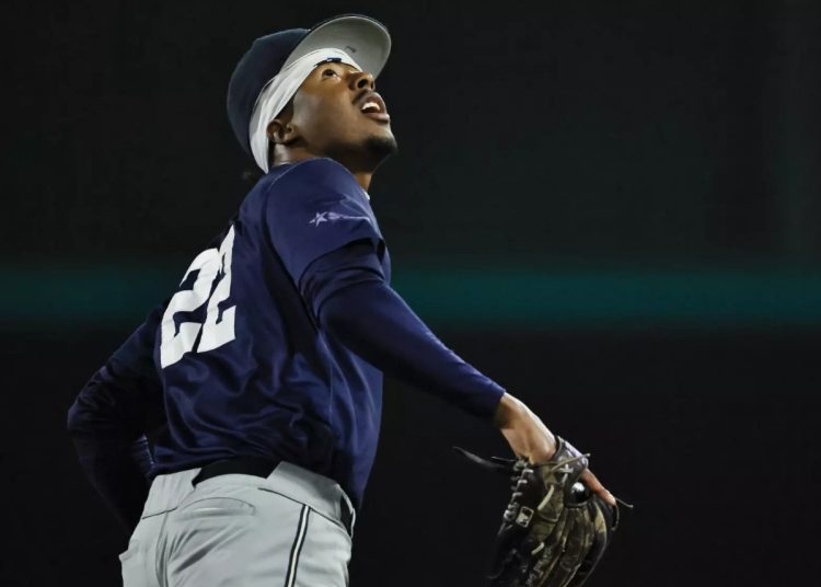 HBCU baseball trio gets MLB Draft Combine invitation 2 tyree reed
