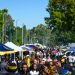 HBCU homecoming projected to see 200,000 visitors this fall 8 HBCU homecoming projected to see 200,000 visitors this fall