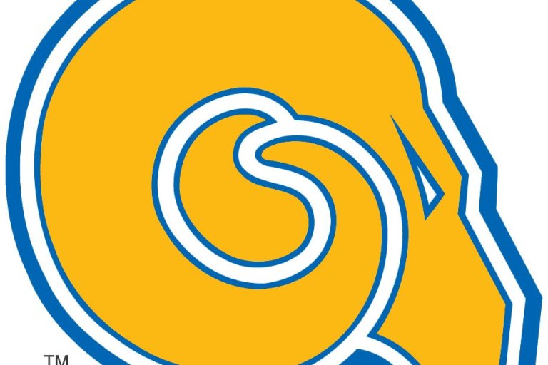 Sherie Gordon Named New AD At Albany State