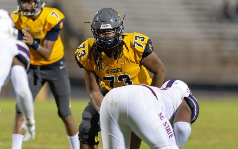 MEAC releases 2019 all-conference teams, postseason honors