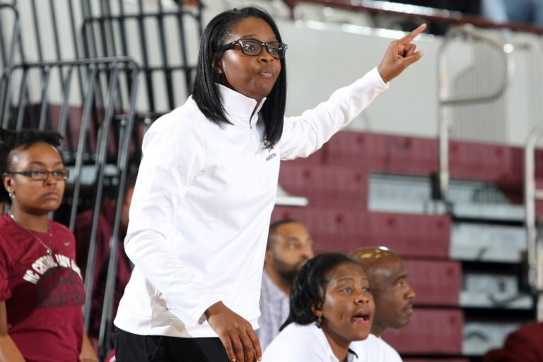 Former WNBA player Tynesha Lewis named head women’s basketball coach at Elizabeth City State