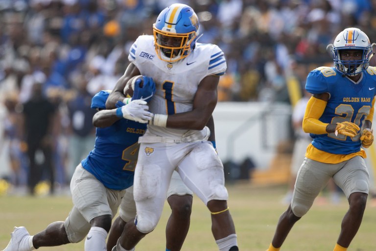 Fort Valley State running back Emanuel Wilson enters NFL draft